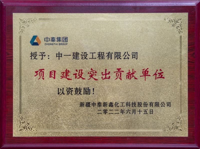 項目建設(shè)突出貢獻(xiàn)單位